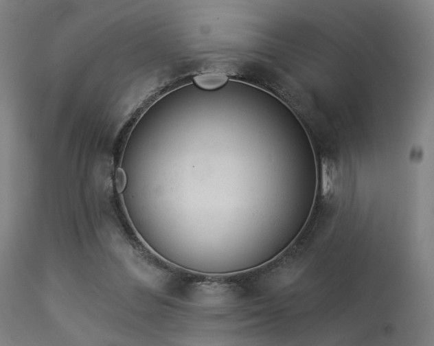 X0000113360300200909221206