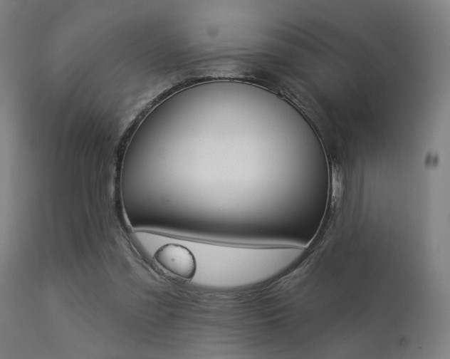 X0000113360301200909221206