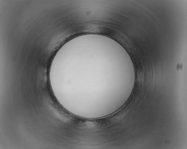 X0000113360302200909221206