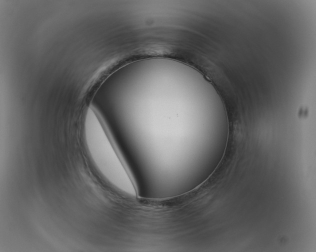 X0000113360304200909221206
