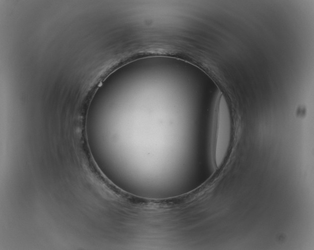 X0000113360305200909221206