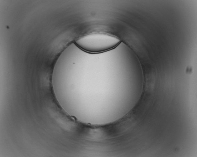 X0000113360309200909221206