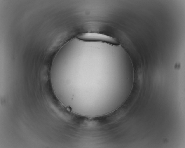 X0000113360311200909221206