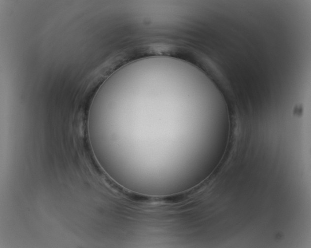 X0000113360313200909221205