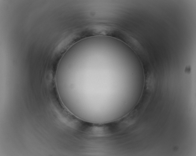 X0000113360314200909221205