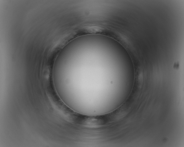 X0000113360315200909221205