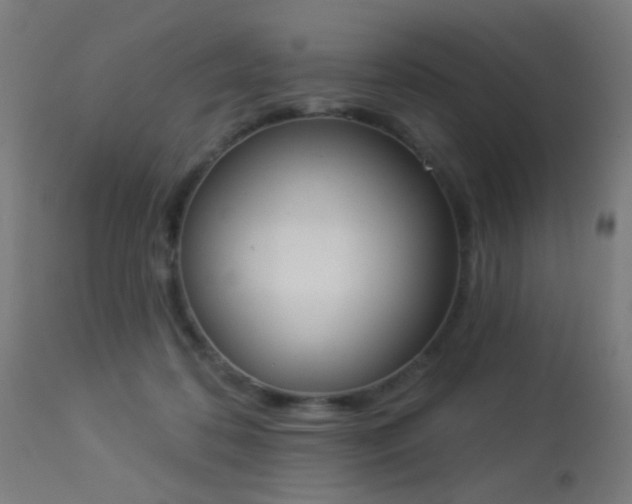 X0000113360316200909221205