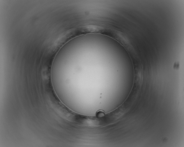 X0000113360317200909221205