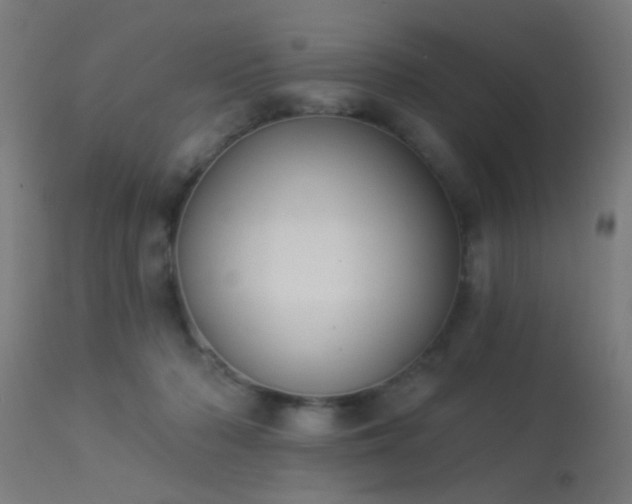 X0000113360318200909221205