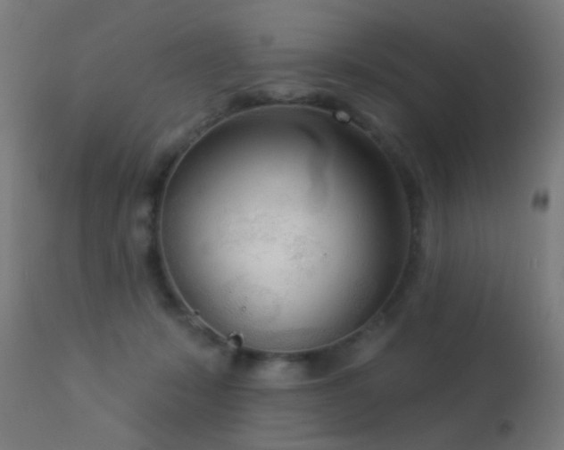 X0000113360319200909221205