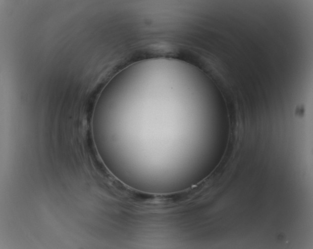 X0000113360320200909221205