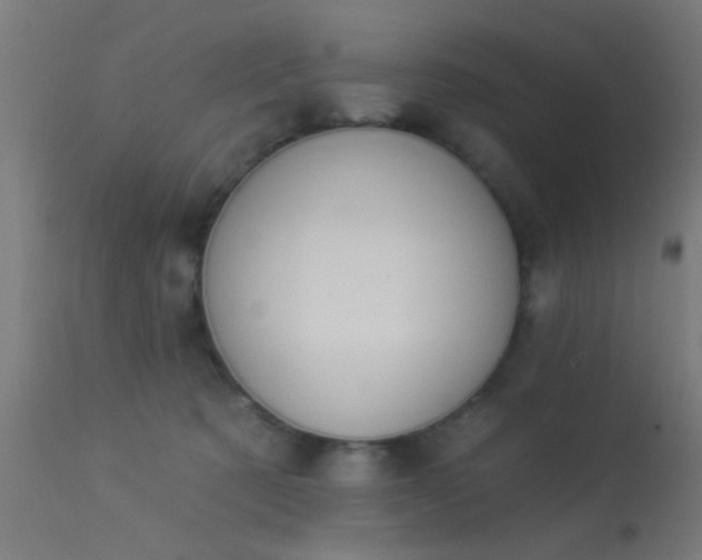 X0000113360321200909221205