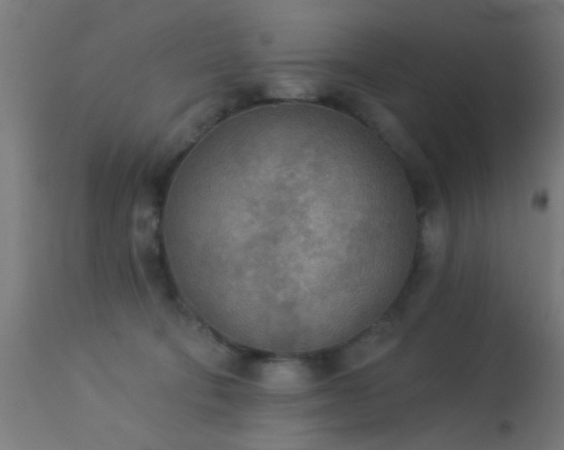 X0000113360322200909221205