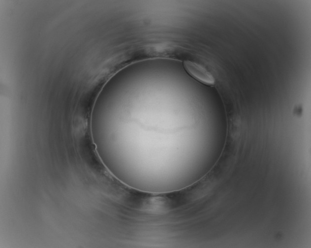 X0000113360324200909221205