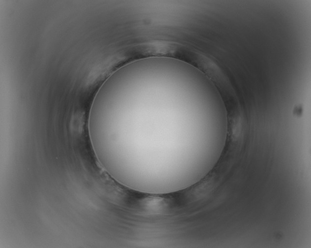 X0000113360326200909221205