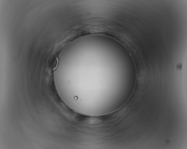 X0000113360327200909221205