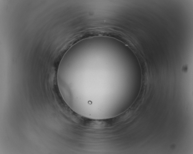 X0000113360328200909221205
