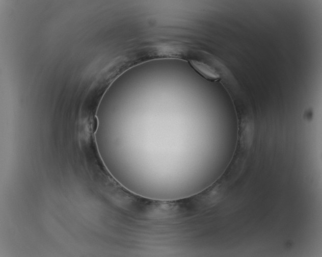 X0000113360329200909221205