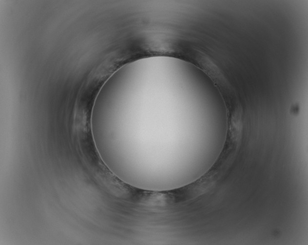 X0000113360330200909221205