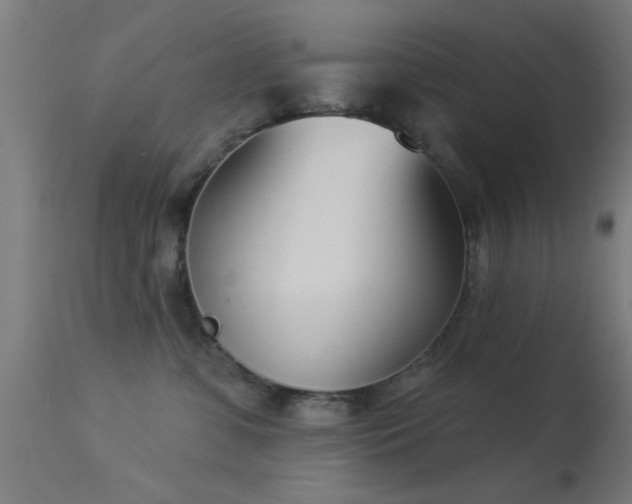 X0000113360331200909221205
