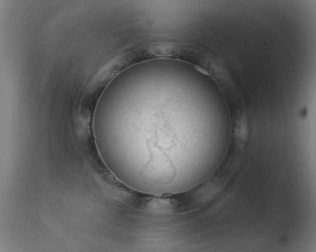 X0000113360332200909221205