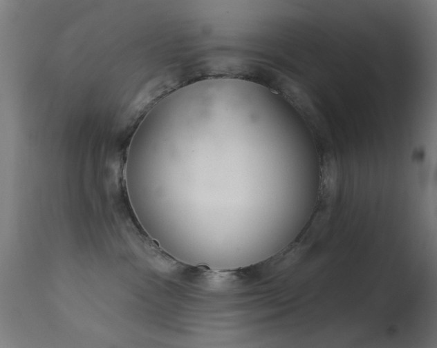 X0000113360333200909221205
