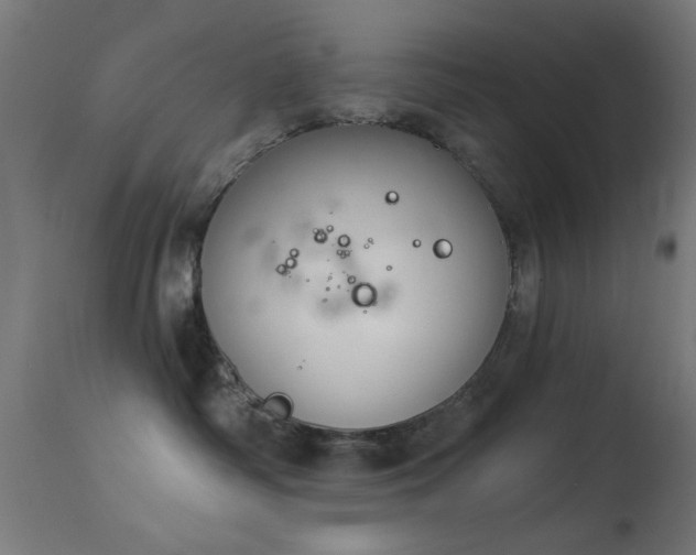 X0000113360334200909221205
