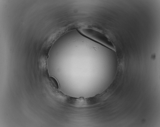 X0000113360335200909221205