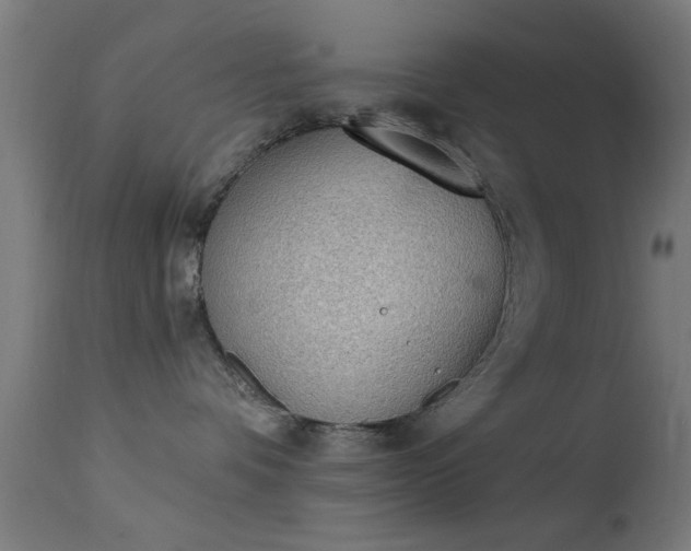 X0000113360336200909221205