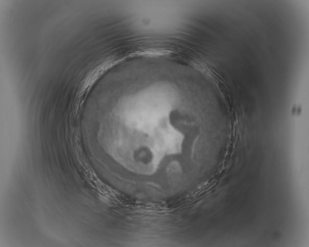 X0000113360337200909221204