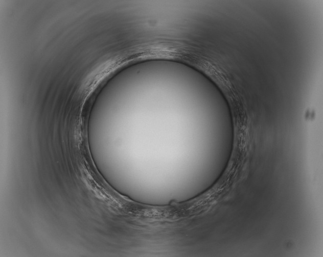 X0000113360338200909221204