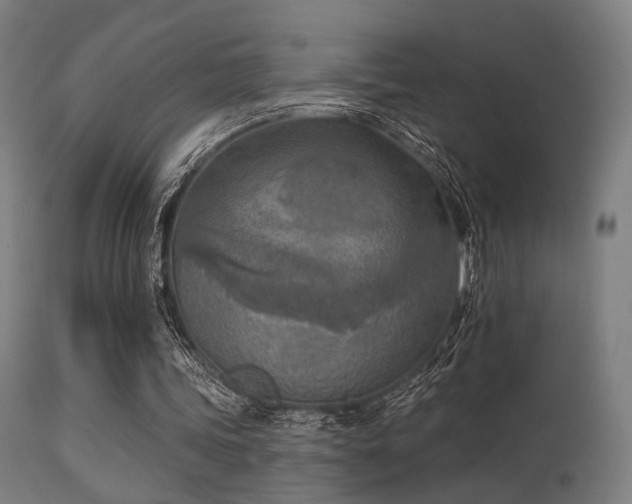 X0000113360339200909221204
