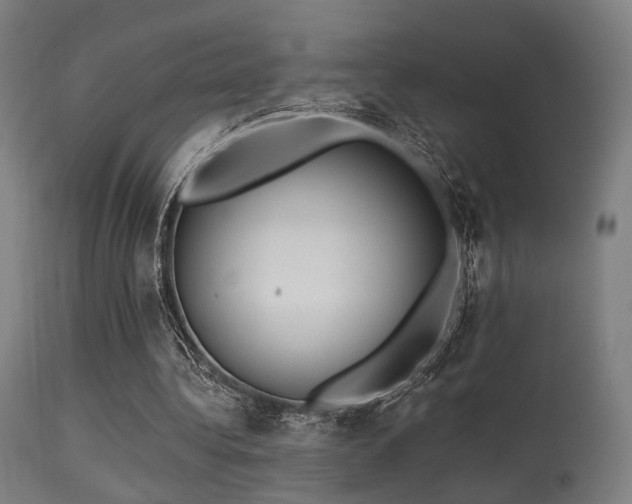 X0000113360340200909221204