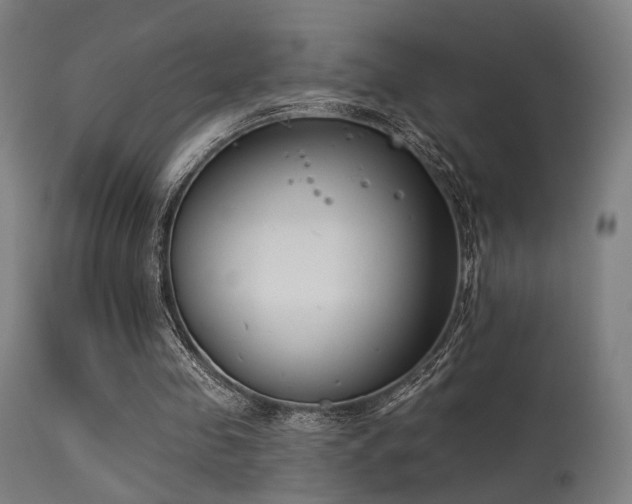 X0000113360341200909221204