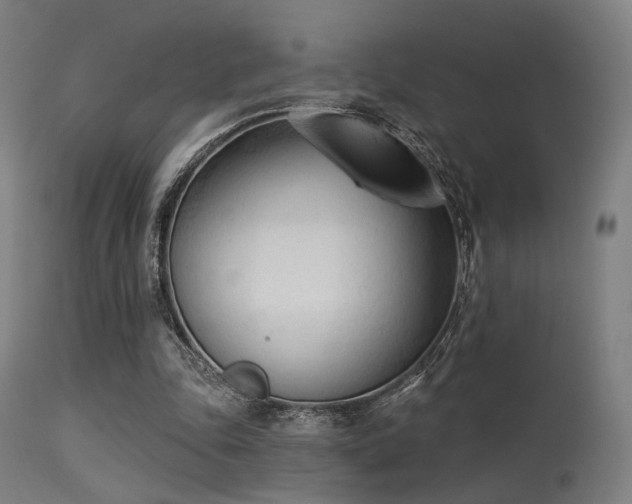 X0000113360343200909221204