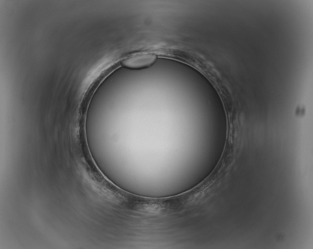 X0000113360344200909221204