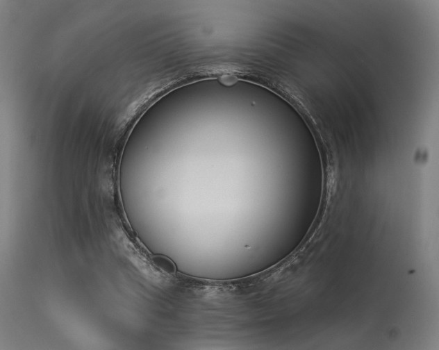 X0000113360345200909221204