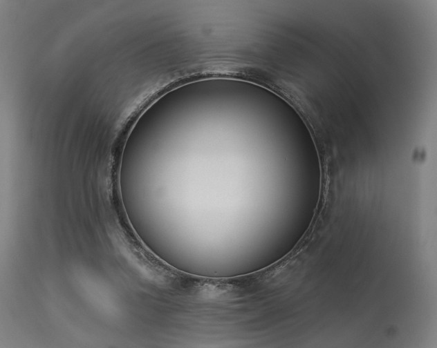 X0000113360346200909221205