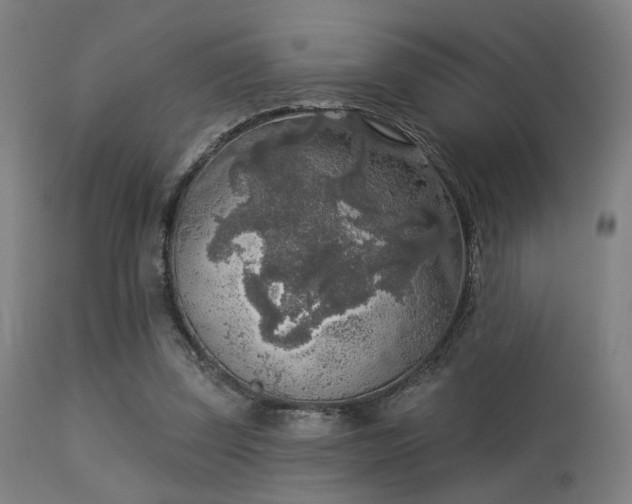 X0000113360347200909221205