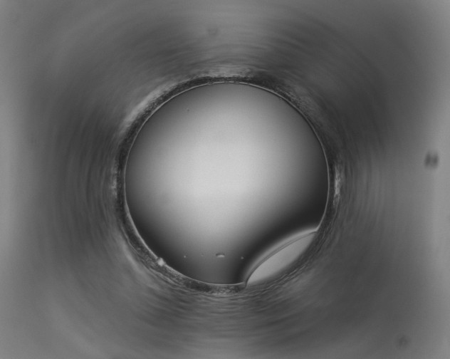 X0000113360348200909221205