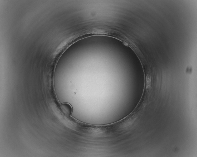 X0000113360349200909221205