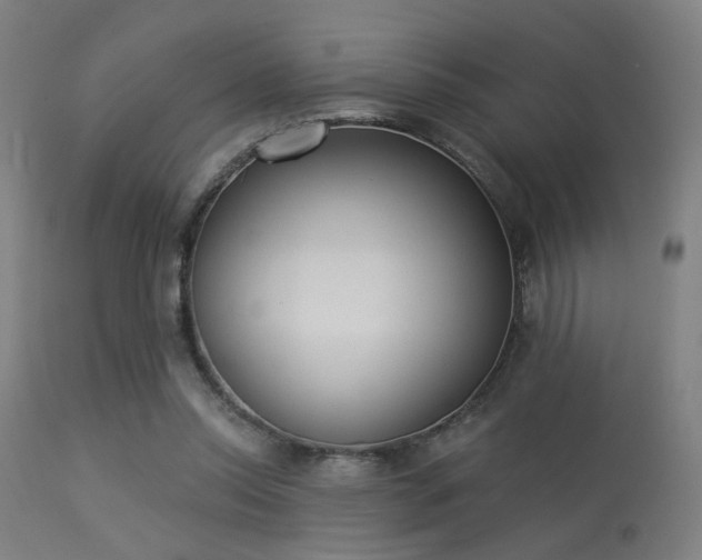 X0000113360350200909221205