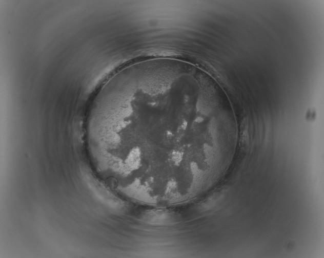 X0000113360351200909221205