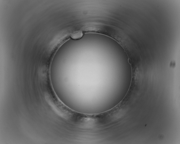 X0000113360352200909221205