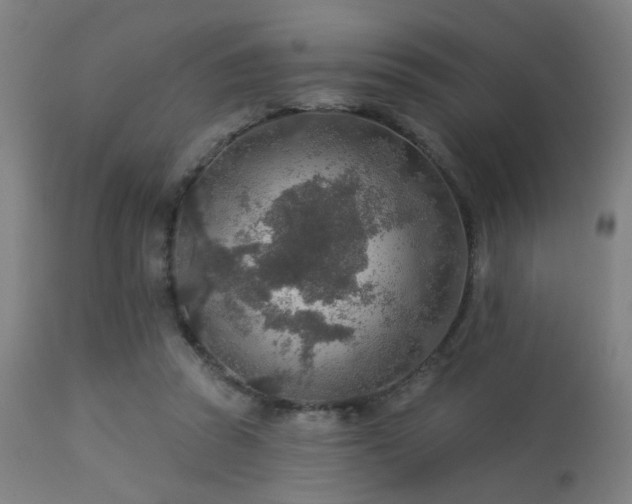 X0000113360353200909221205