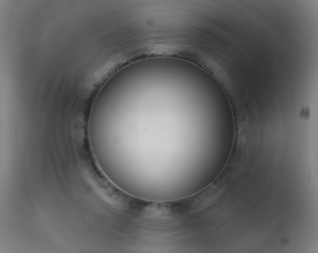 X0000113360354200909221205