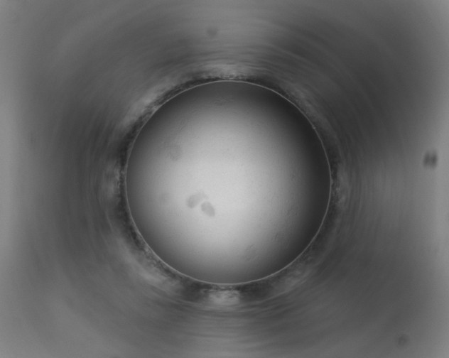 X0000113360355200909221205