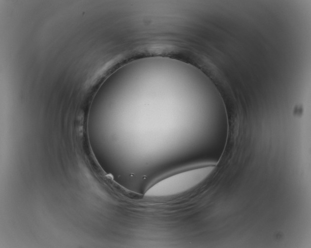 X0000113360356200909221205
