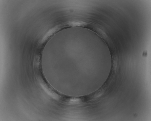 X0000113360357200909221205