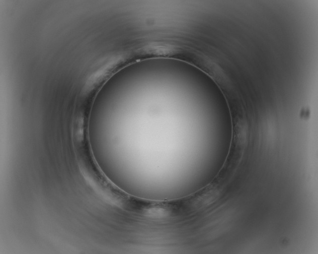 X0000113360358200909221205